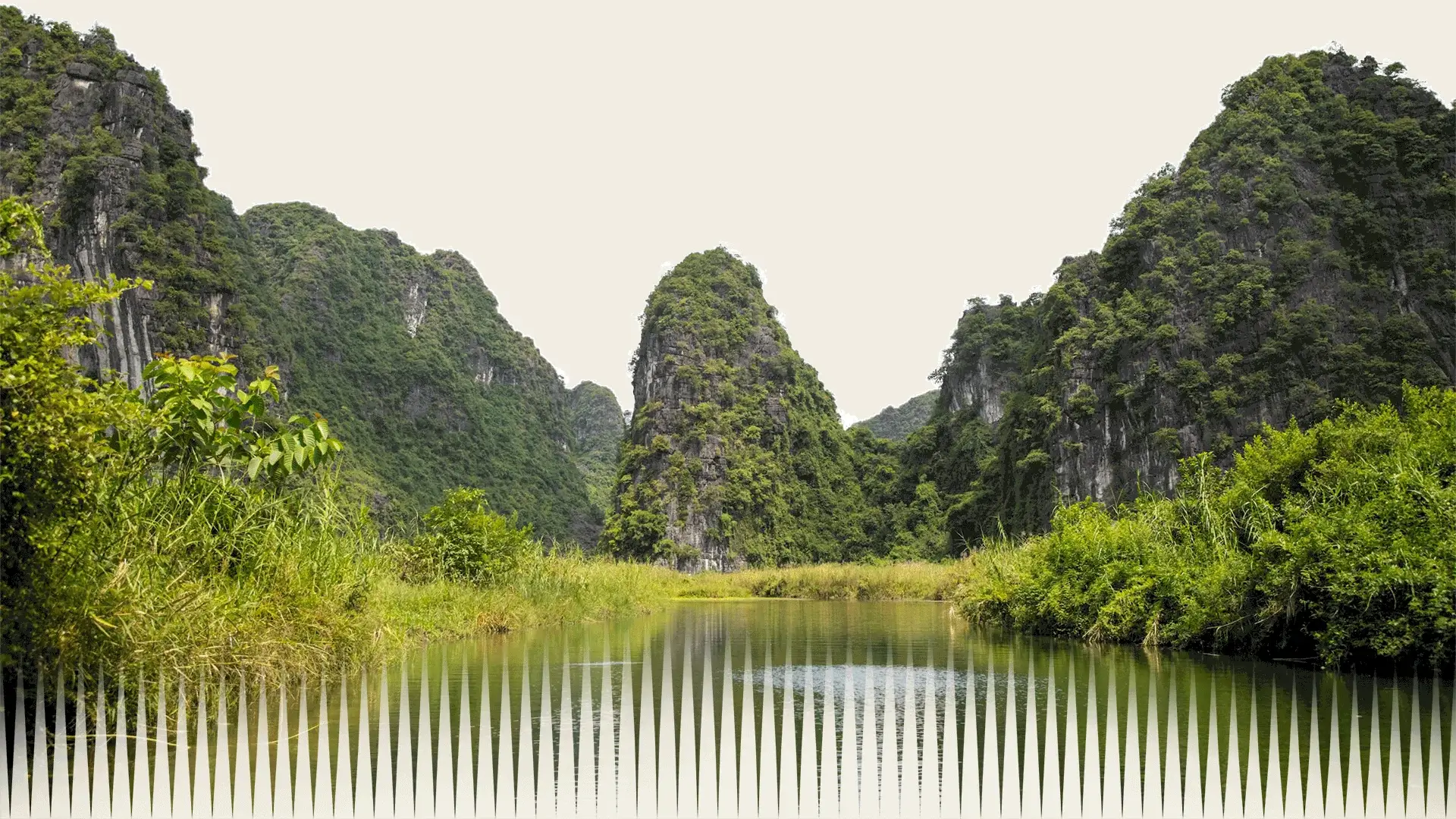 NatureAnalytics platform dashboard